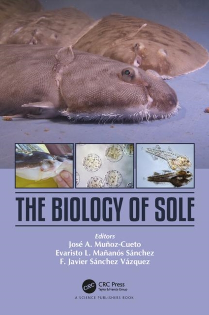 The Biology of Sole, Hardback Book