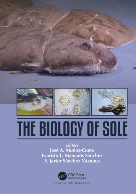 The Biology of Sole, PDF eBook