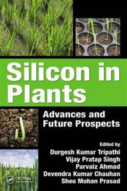 Silicon in Plants : Advances and Future Prospects, Hardback Book