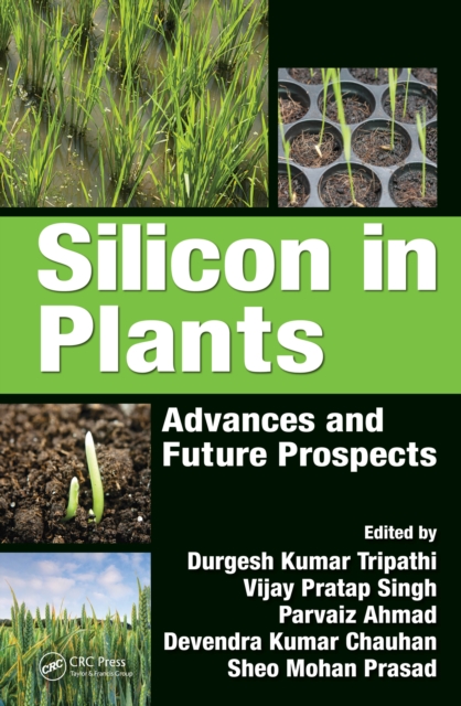 Silicon in Plants : Advances and Future Prospects, PDF eBook