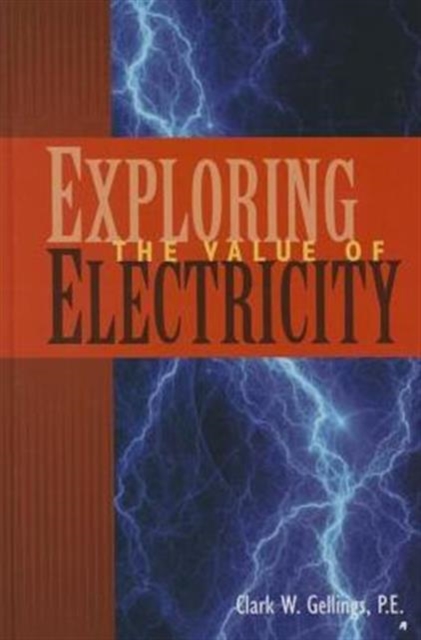 Exploring the Value of Electricity, Hardback Book