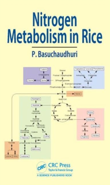 Nitrogen Metabolism in Rice, Hardback Book