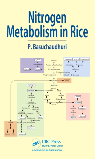 Nitrogen Metabolism in Rice, PDF eBook