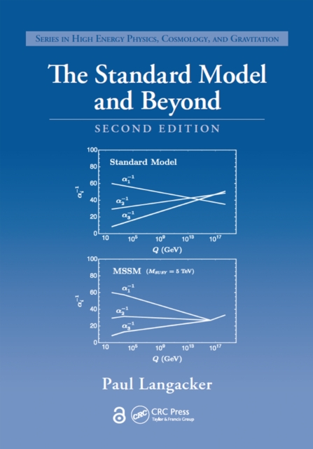 The Standard Model and Beyond, EPUB eBook