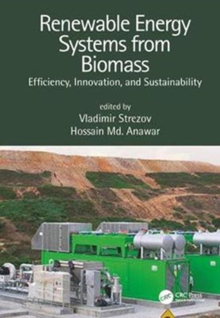 Renewable Energy Systems from Biomass : Efficiency, Innovation and Sustainability, Hardback Book