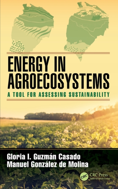 Energy in Agroecosystems : A Tool for Assessing Sustainability, Hardback Book