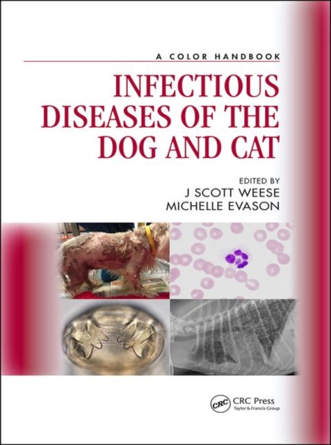 Infectious Diseases of the Dog and Cat : A Color Handbook, Hardback Book