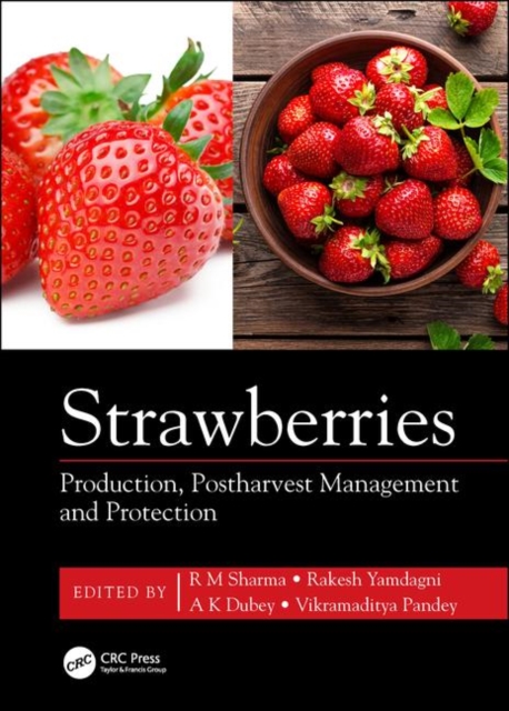 Strawberries : Production, Postharvest Management and Protection, Hardback Book
