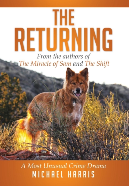 The Returning : A Most Unusual Crime Drama, Hardback Book