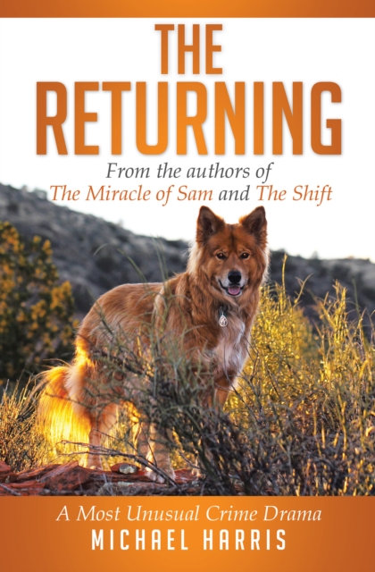 The Returning : A Most Unusual Crime Drama, EPUB eBook