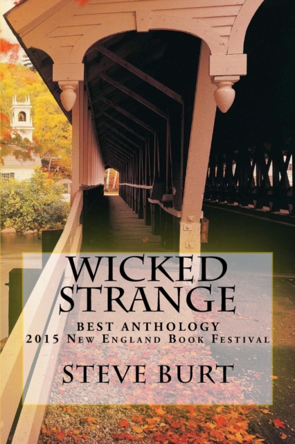 Wicked Strange : 13 Tales from Bram Stoker Award winner Steve Burt, Paperback / softback Book