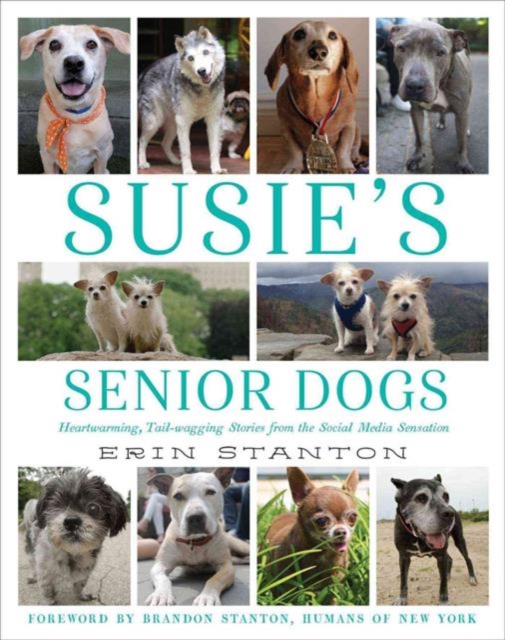 Susie's Senior Dogs, Hardback Book