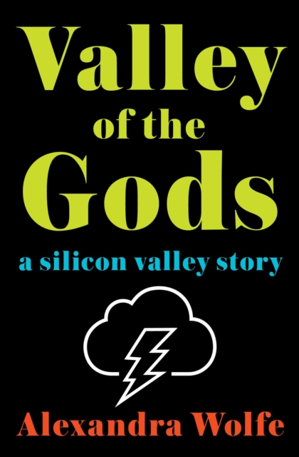 Valley of the Gods : A Silicon Valley Story, Paperback / softback Book