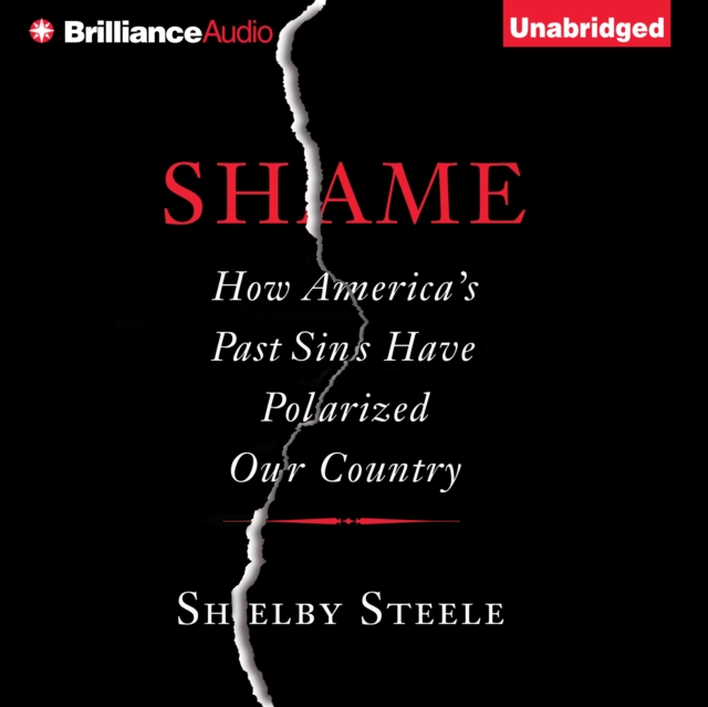 Shame : How America's Past Sins Have Polarized Our Country, eAudiobook MP3 eaudioBook