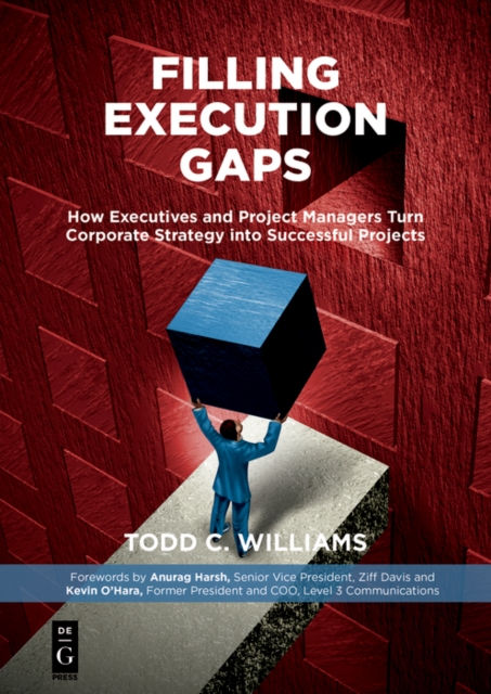 Filling Execution Gaps : How Executives and Project Managers Turn Corporate Strategy into Successful Projects, EPUB eBook