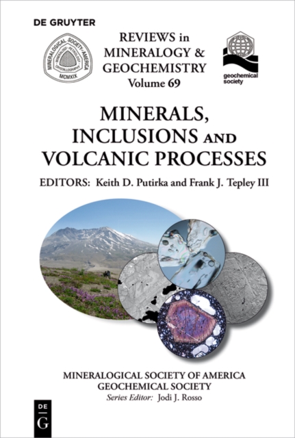 Minerals, Inclusions And Volcanic Processes, PDF eBook