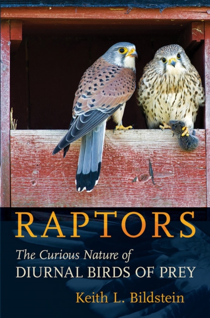 Raptors : The Curious Nature of Diurnal Birds of Prey, Hardback Book