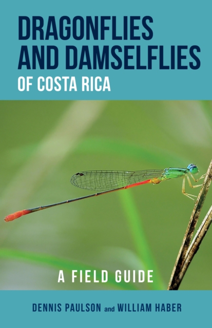 Dragonflies and Damselflies of Costa Rica : A Field Guide, Paperback / softback Book