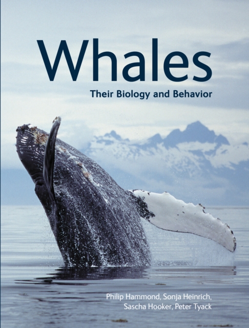 Whales : Their Biology and Behavior, Paperback / softback Book