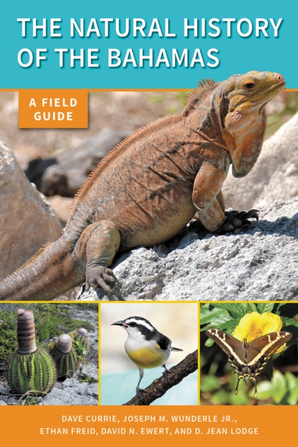 The Natural History of The Bahamas : A Field Guide, PDF eBook