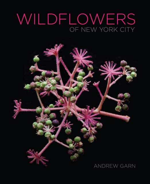 Wildflowers of New York City, Hardback Book