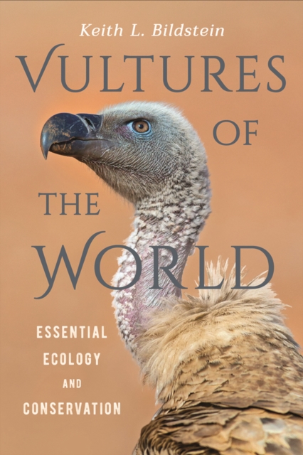 Vultures of the World : Essential Ecology and Conservation, EPUB eBook