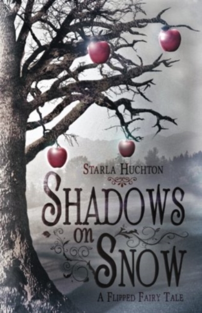 Shadows on Snow : A Flipped Fairy Tale, Paperback / softback Book