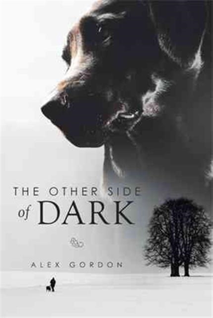 The Other Side of Dark, Hardback Book