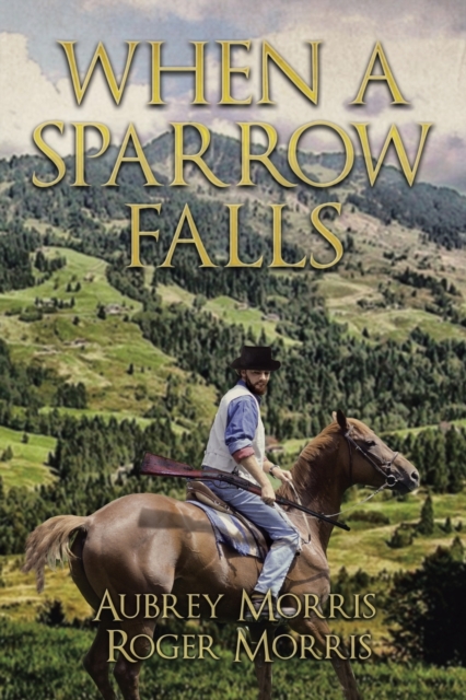 When a Sparrow Falls, Paperback / softback Book