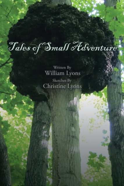 Tales of Small Adventure, Paperback / softback Book