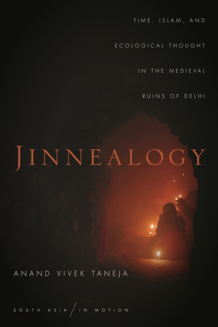 Jinnealogy : Time, Islam, and Ecological Thought in the Medieval Ruins of Delhi, Hardback Book