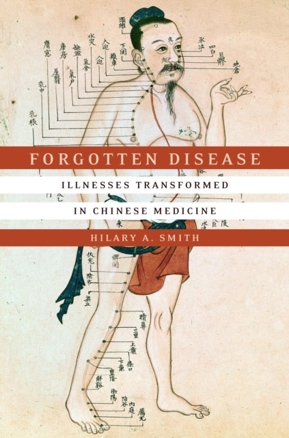 Forgotten Disease : Illnesses Transformed in Chinese Medicine, Hardback Book