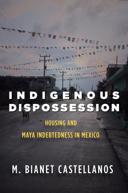 Indigenous Dispossession : Housing and Maya Indebtedness in Mexico, Hardback Book