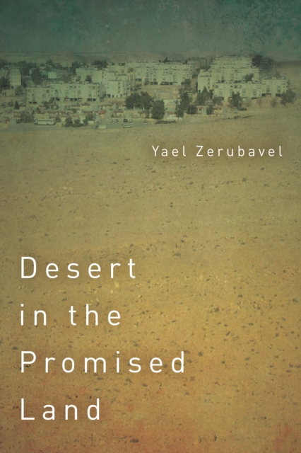 Desert in the Promised Land, Hardback Book