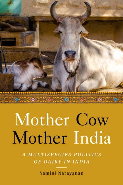Mother Cow, Mother India : A Multispecies Politics of Dairy in India, Hardback Book