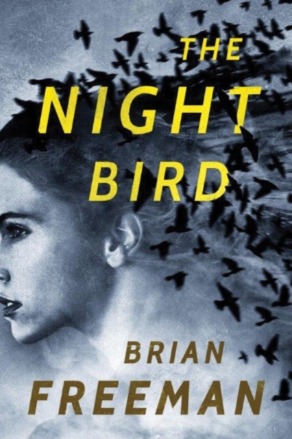 The Night Bird, Paperback / softback Book