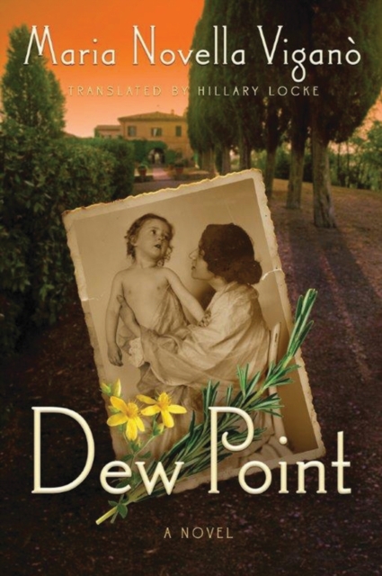 Dew Point, Paperback / softback Book