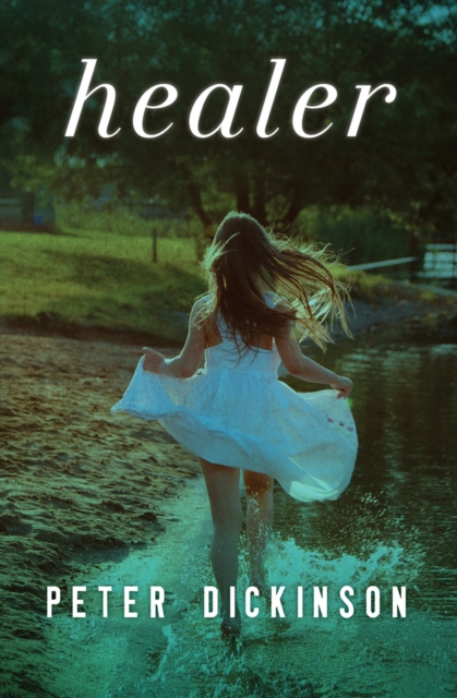 Healer, Paperback / softback Book