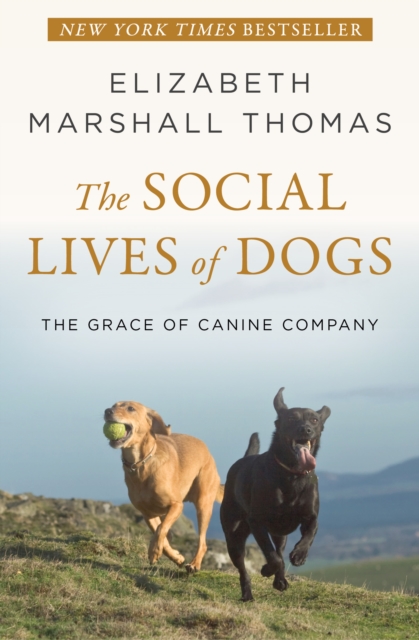 The Social Lives of Dogs : The Grace of Canine Company, EPUB eBook