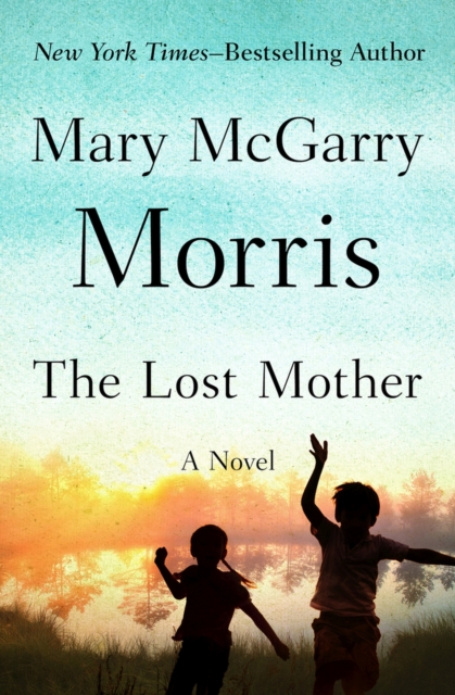 The Lost Mother : A Novel, Paperback / softback Book