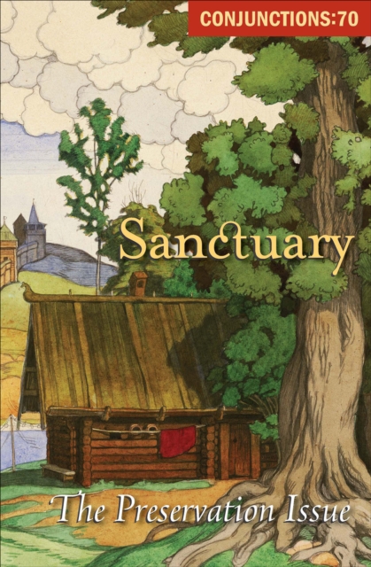 Sanctuary : The Preservation Issue, EPUB eBook