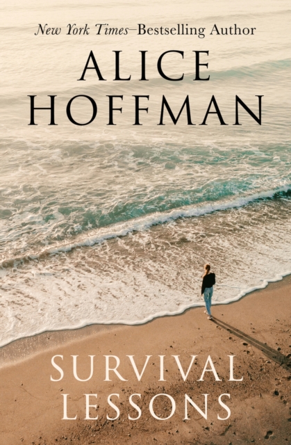 Survival Lessons, Paperback / softback Book