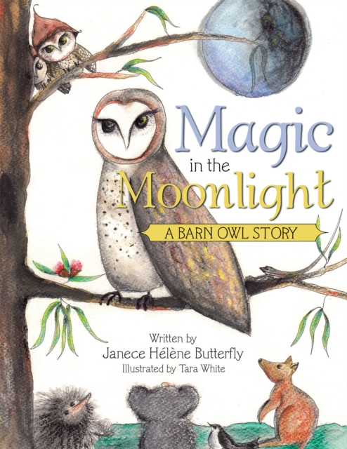 Magic in the Moonlight : A Barn Owl Story, EPUB eBook