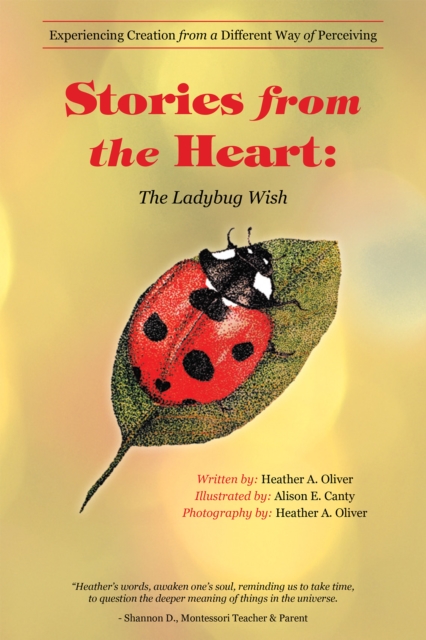 Stories from the Heart: the Ladybug Wish : Experiencing Creation from a Different Way of Perceiving, EPUB eBook