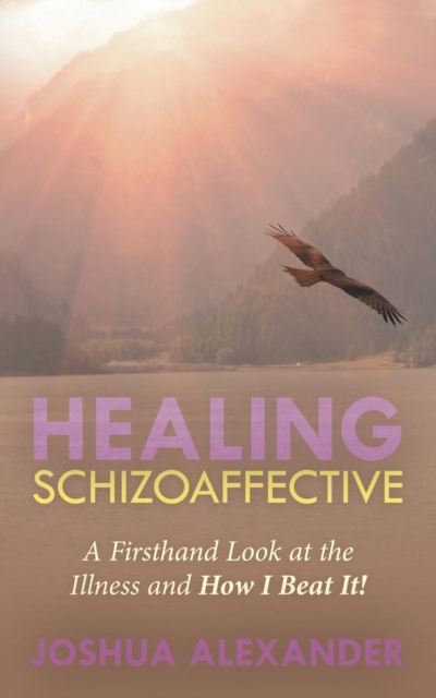 Healing Schizoaffective : A Firsthand Look at the Illness and How I Beat It!, Paperback / softback Book