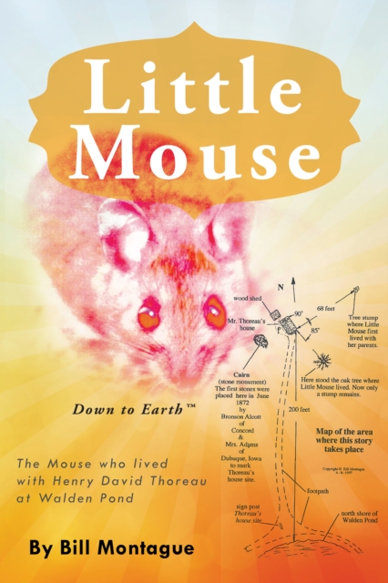 Little Mouse, EPUB eBook