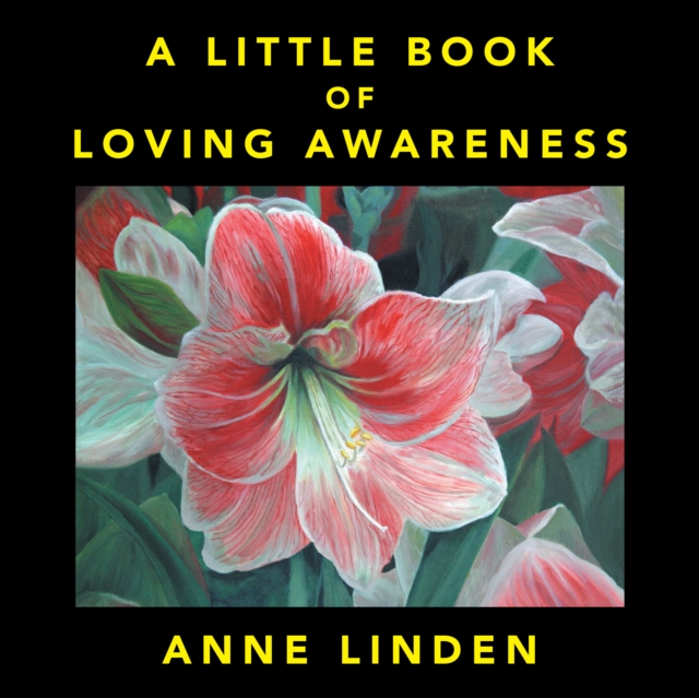 A Little Book of Loving Awareness, EPUB eBook