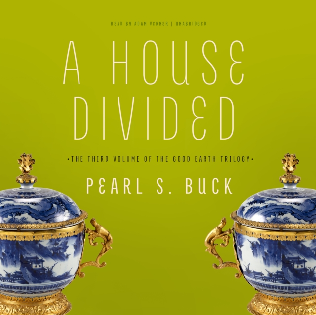 A House Divided, eAudiobook MP3 eaudioBook