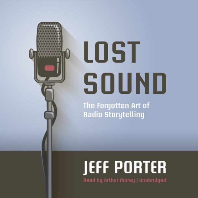 Lost Sound, eAudiobook MP3 eaudioBook