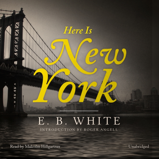 Here Is New York, eAudiobook MP3 eaudioBook